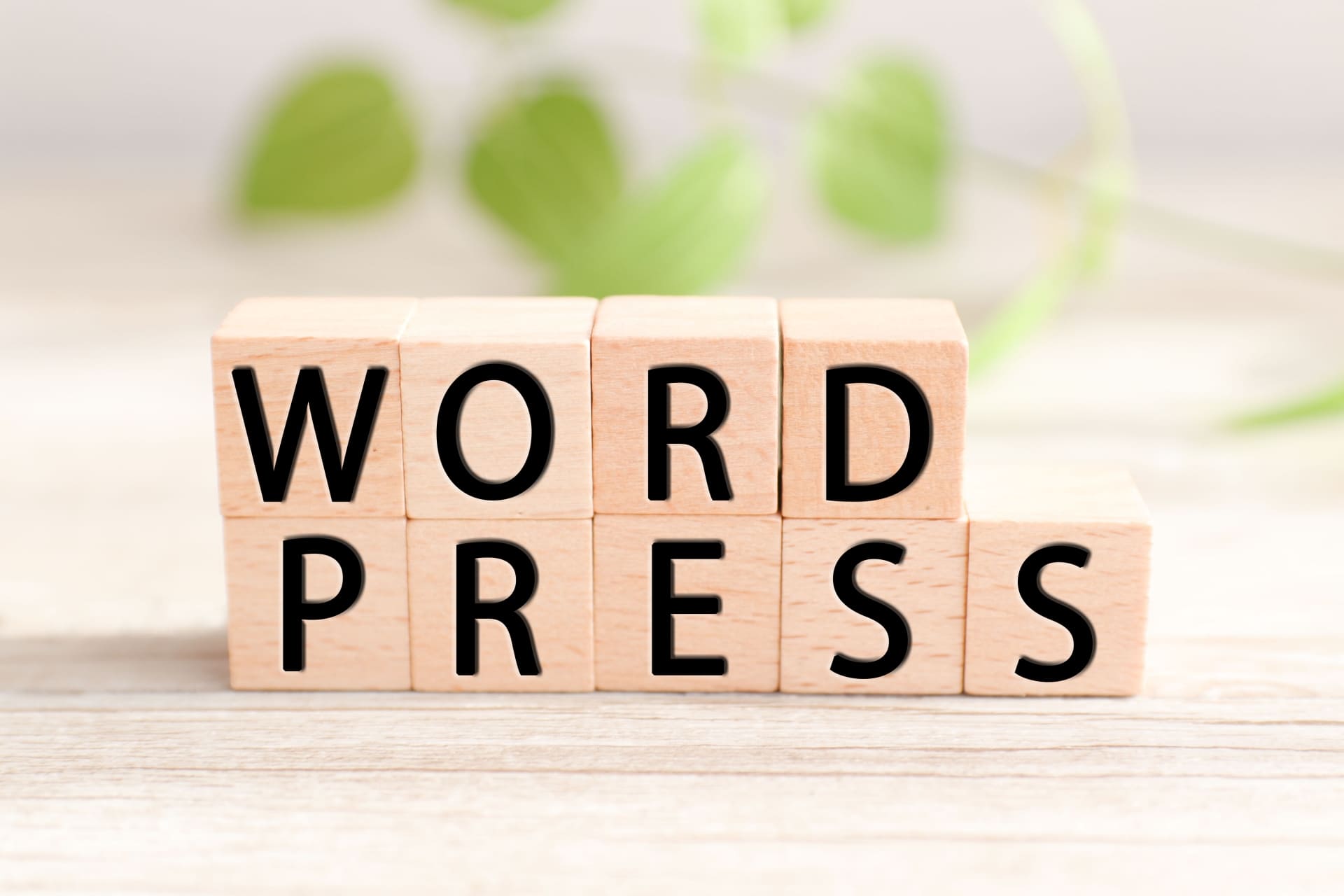 WordPressの今後の見通しは